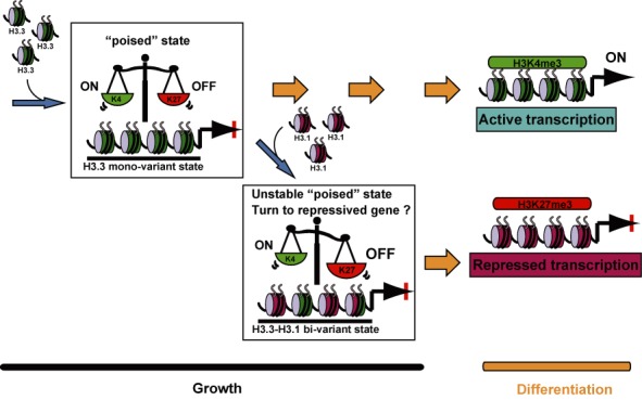 Figure 7.