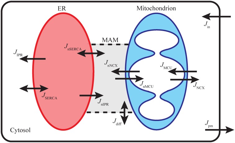 Fig 1