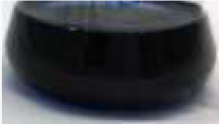 graphic file with name fmicb-11-01163-i0016.jpg