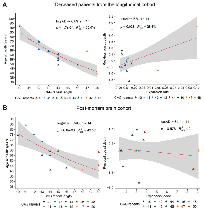 Figure 4—figure supplement 1.