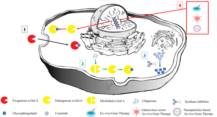 Fig. (1)