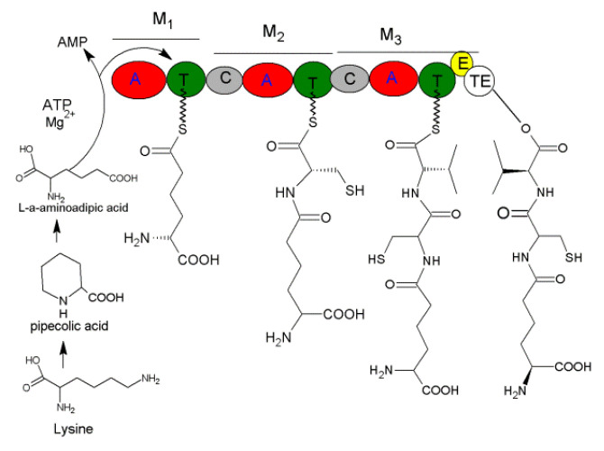 Figure 10