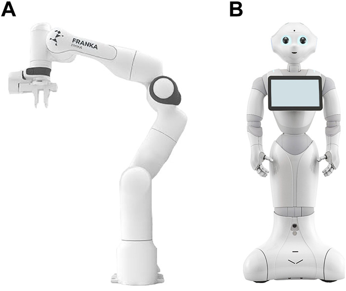 FIGURE 2