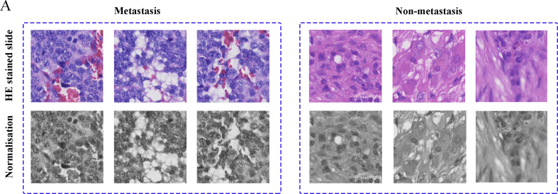 graphic file with name figs1.jpg