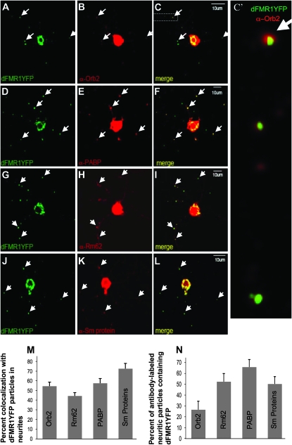 Figure 2.—