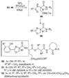 Scheme 21