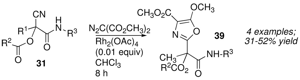 Scheme 18