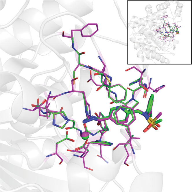 Figure 9