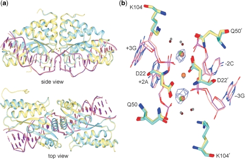 Figure 5.