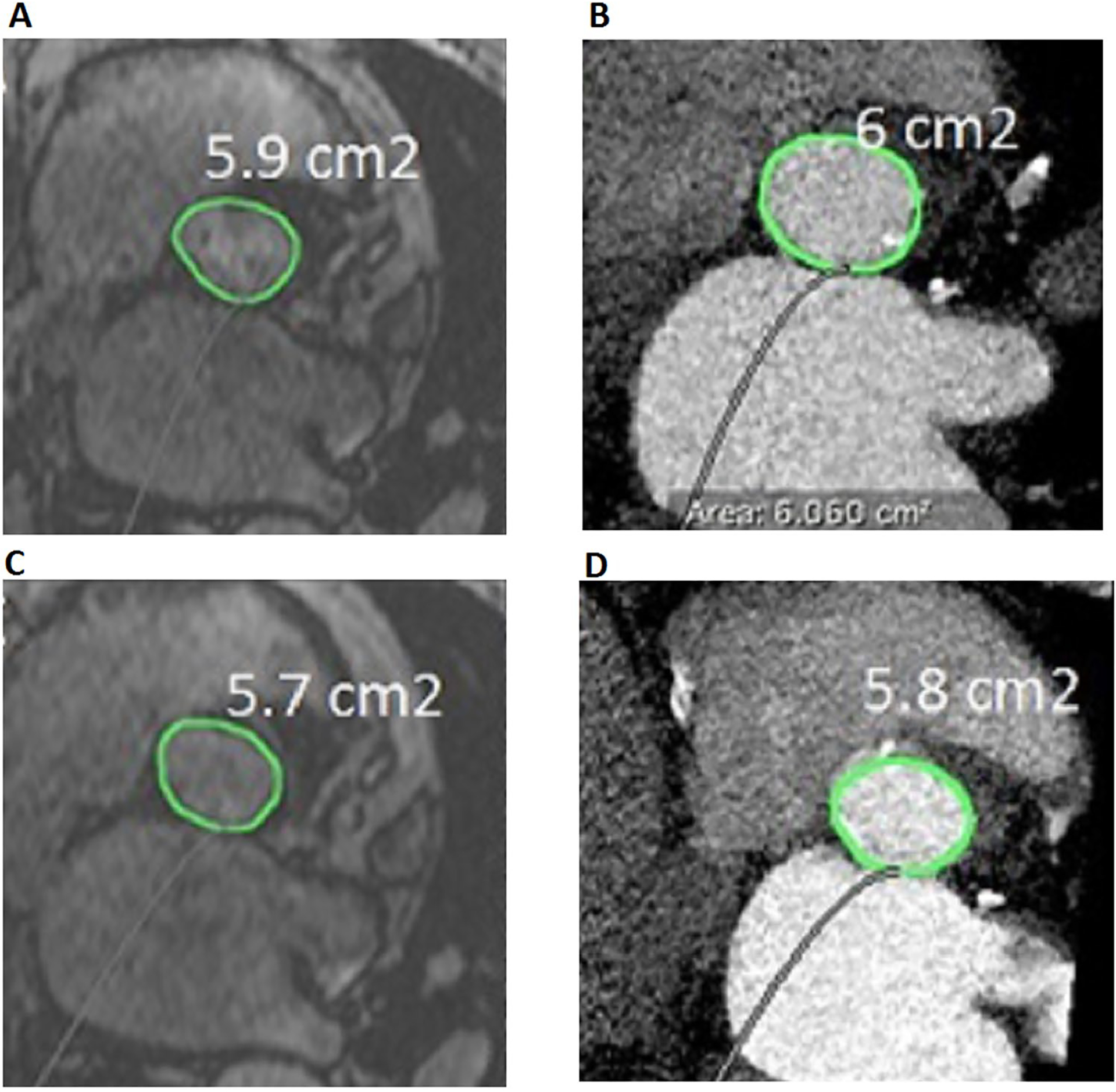 Fig. 5