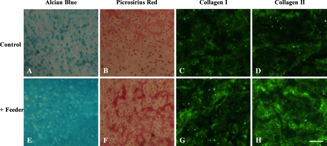 Fig. 4A–H