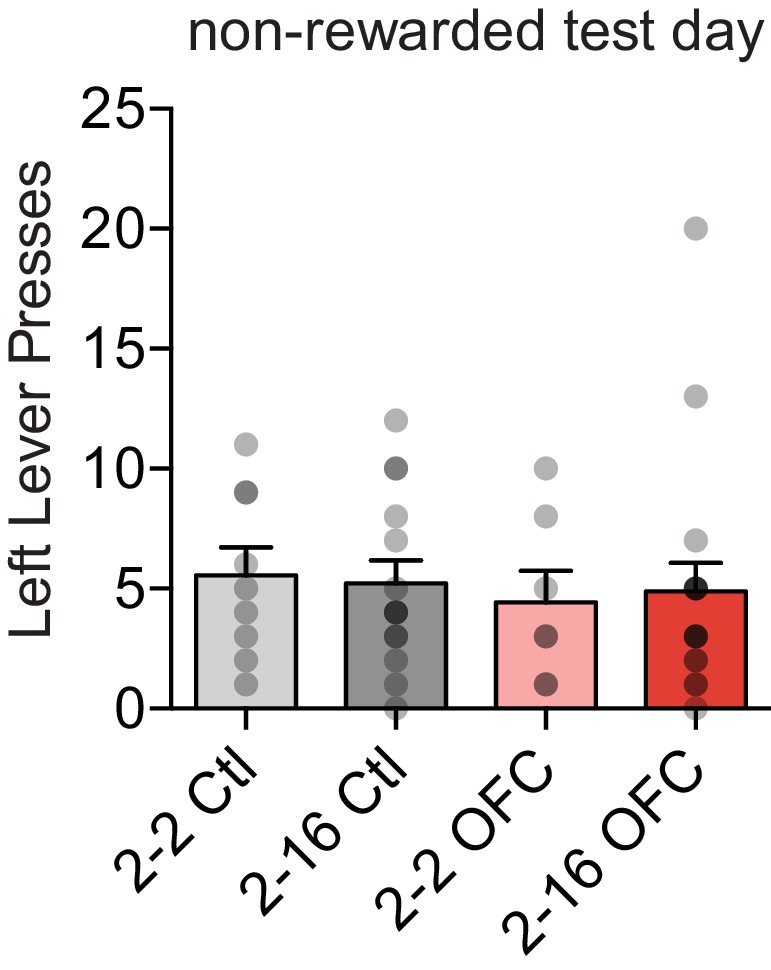 Figure 3—figure supplement 2.