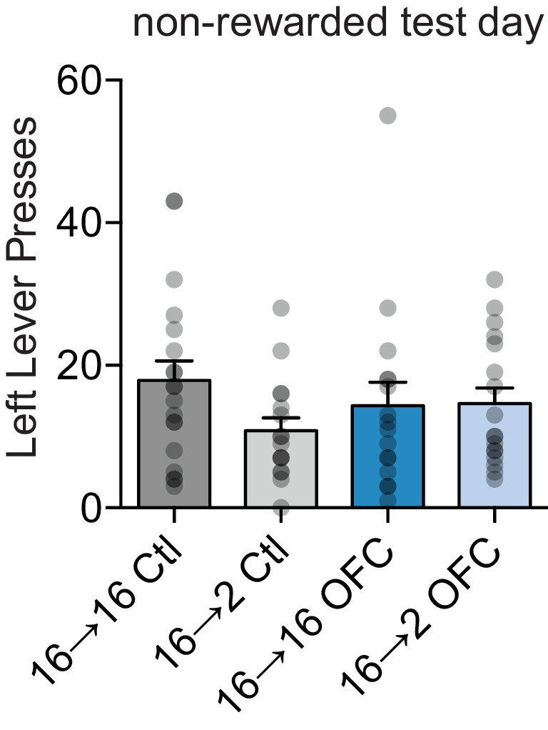 Figure 4—figure supplement 2.