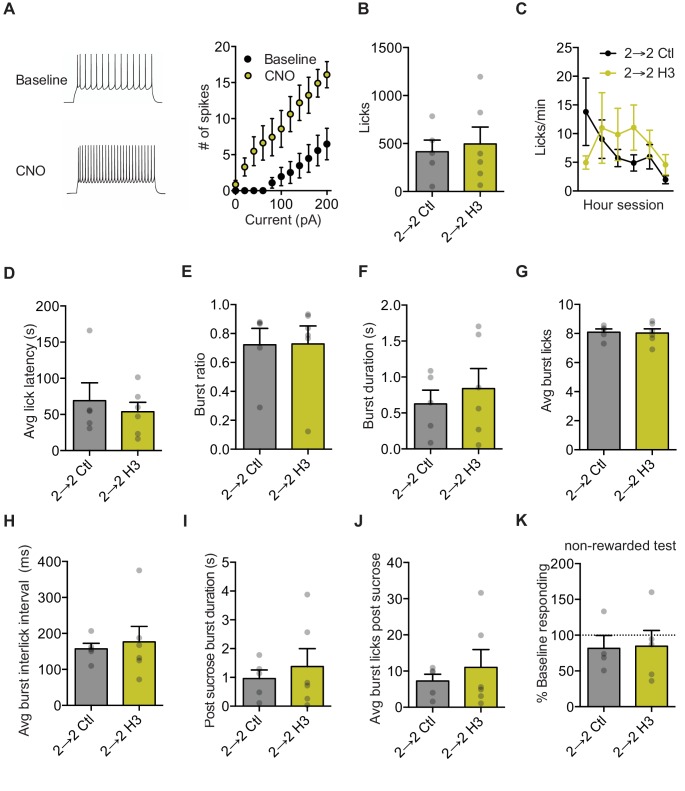 Figure 3—figure supplement 1.