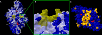 Fig 5