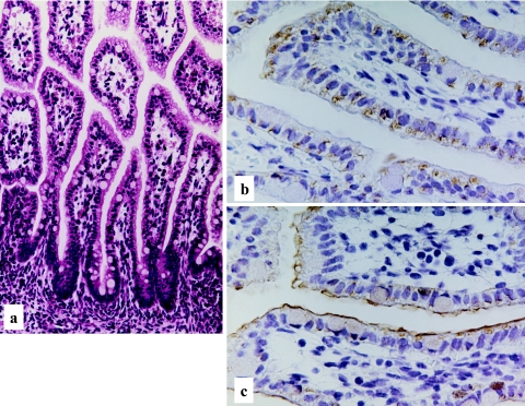 Fig. 3