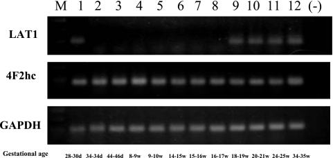 Fig. 6