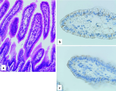 Fig. 4