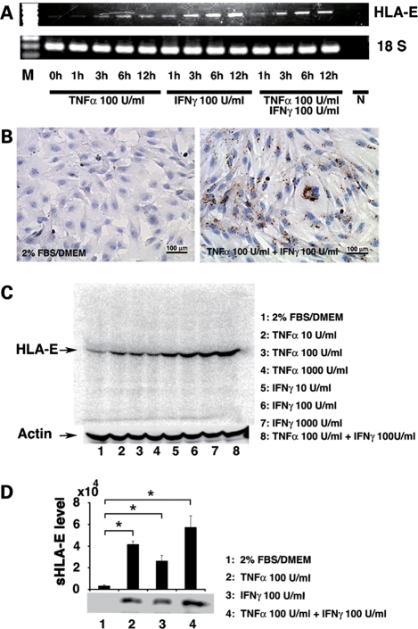 Figure 2.