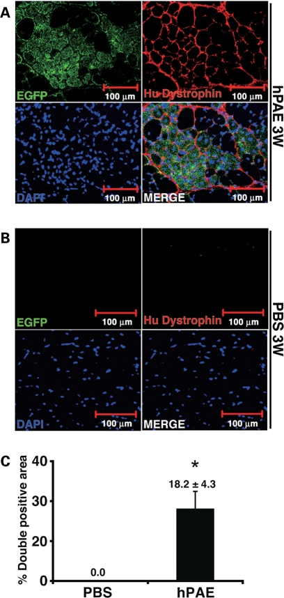 Figure 6.