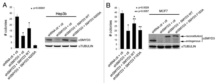 Figure 3. 