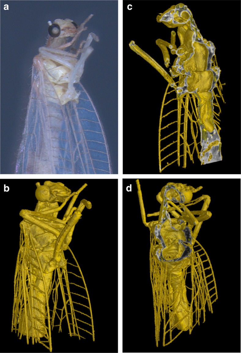 Figure 5