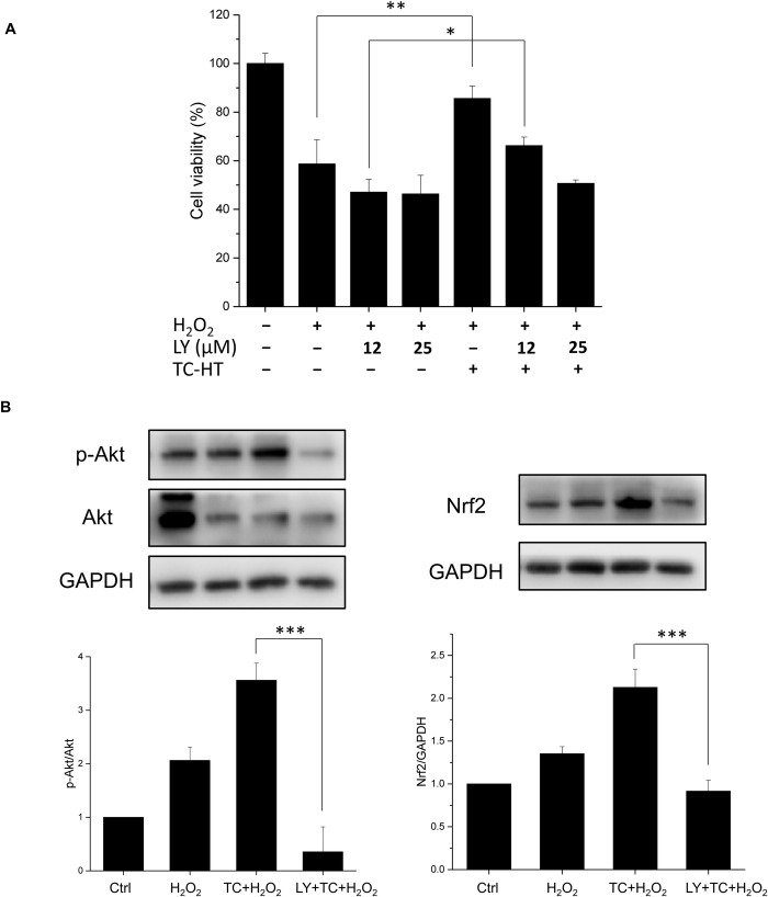 Fig 9