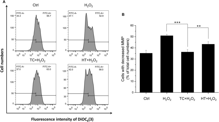 Fig 5