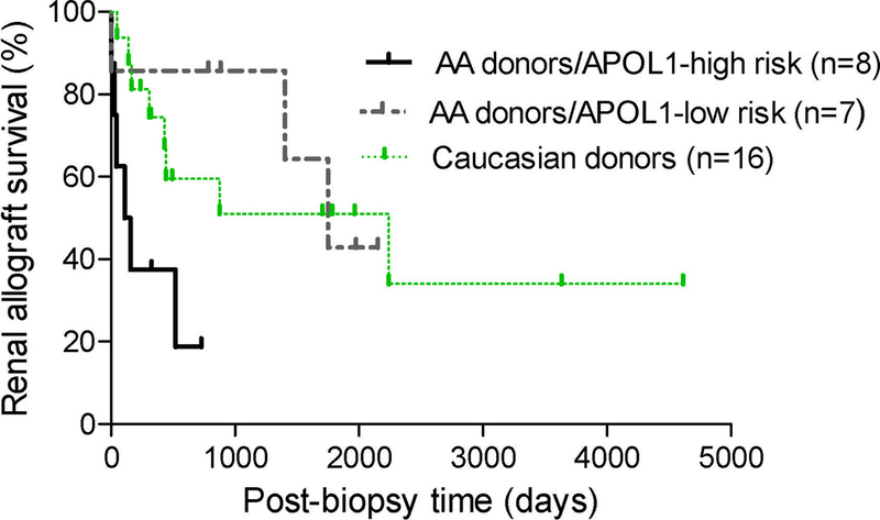 Figure 4: