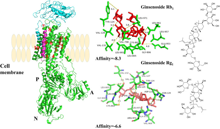 FIGURE 6