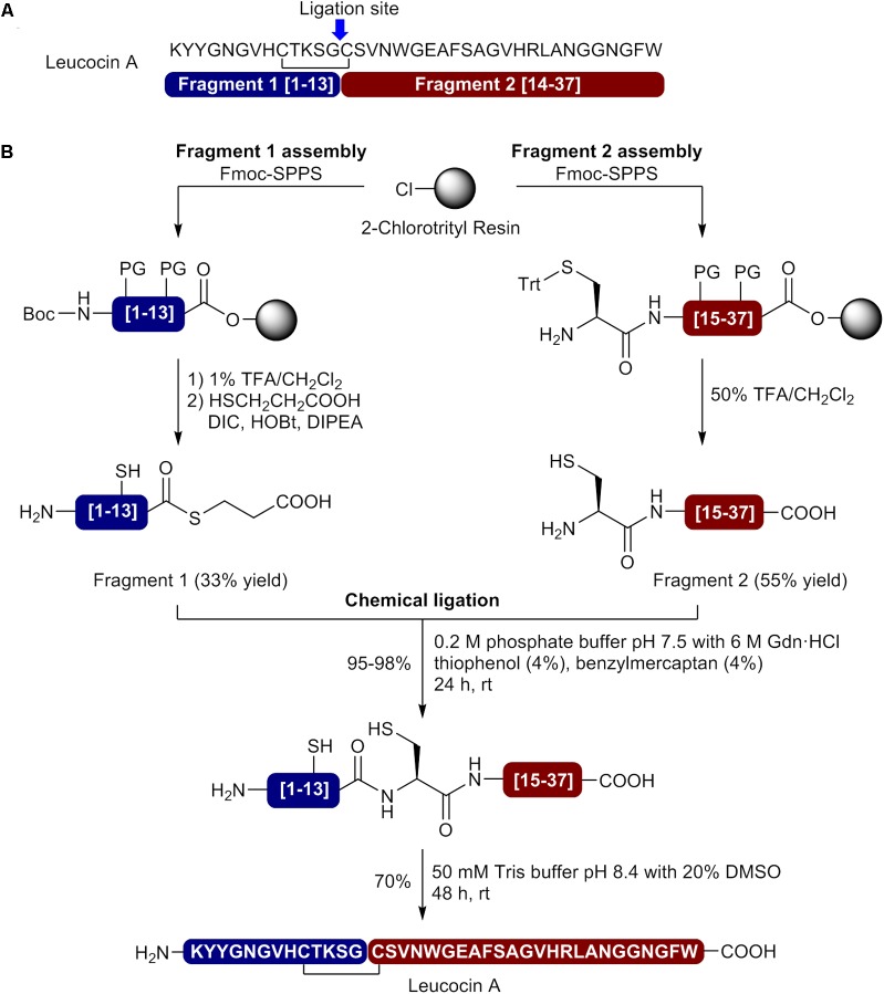 FIGURE 2