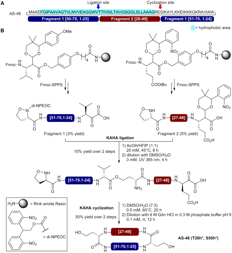 FIGURE 4