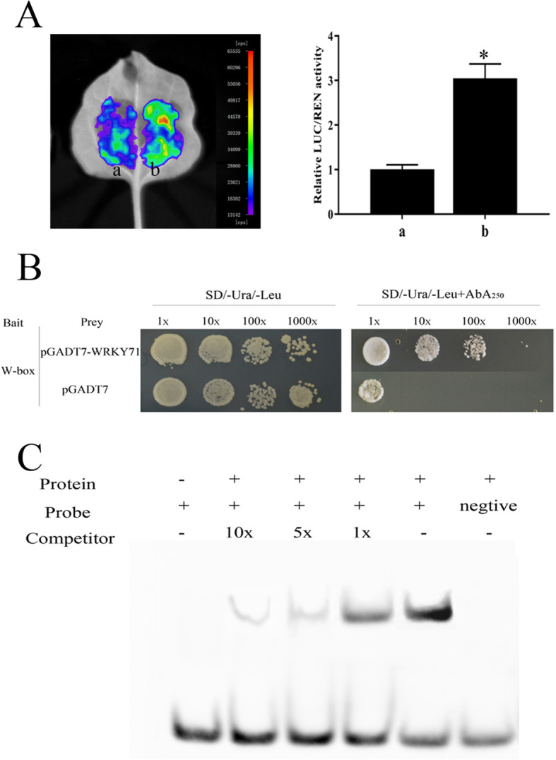 Fig. 9