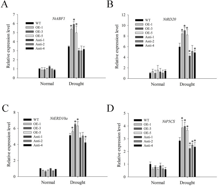 Fig. 8