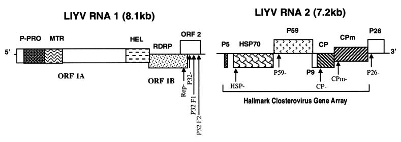 FIG. 1