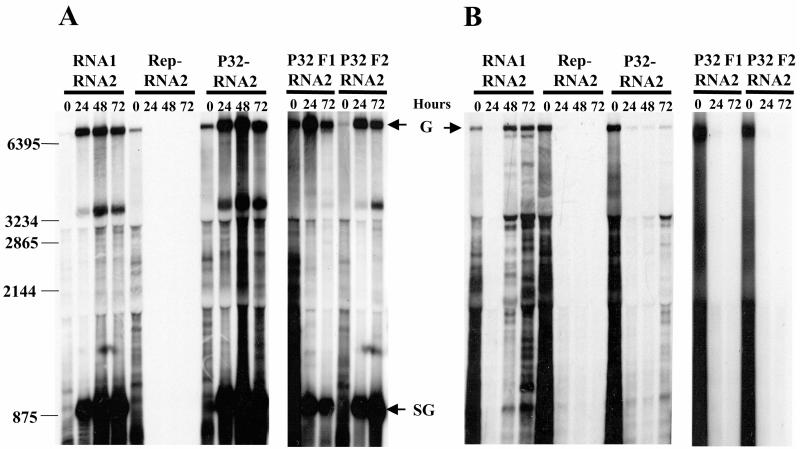 FIG. 4