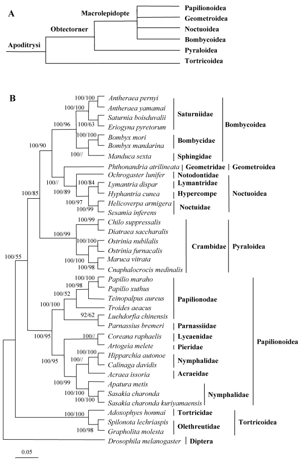 Fig 10