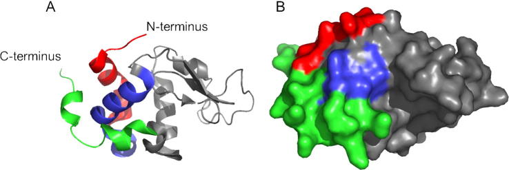 Fig. 1