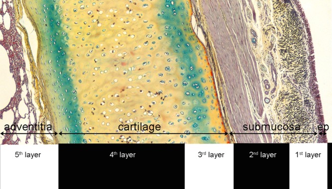 Fig 4