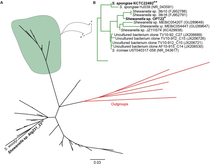 FIGURE 1