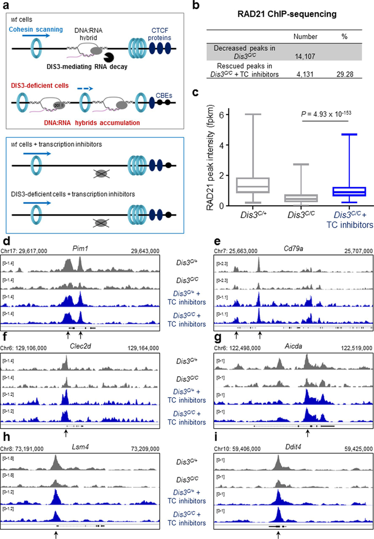 Extended Data Fig. 5 |