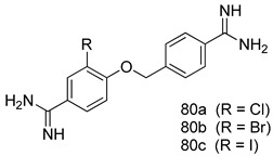 graphic file with name molecules-24-03886-i059.jpg