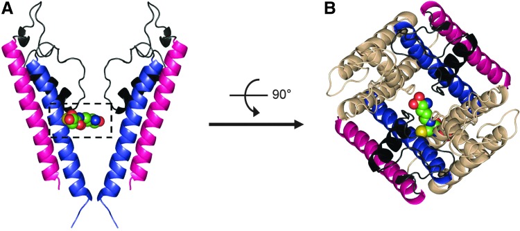 FIG. 4.