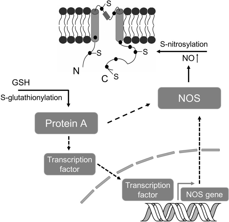 FIG. 7.