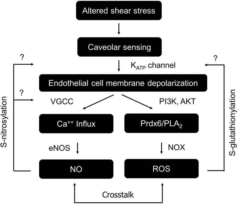 FIG. 8.