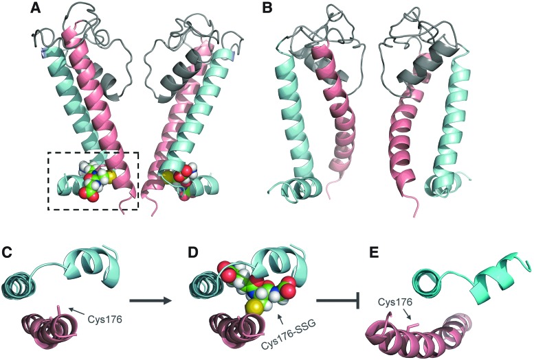 FIG. 3.