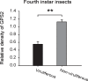 Figure 2—figure supplement 2.