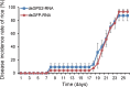 Figure 6—figure supplement 2.