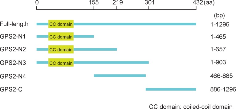 Figure 5—figure supplement 3.