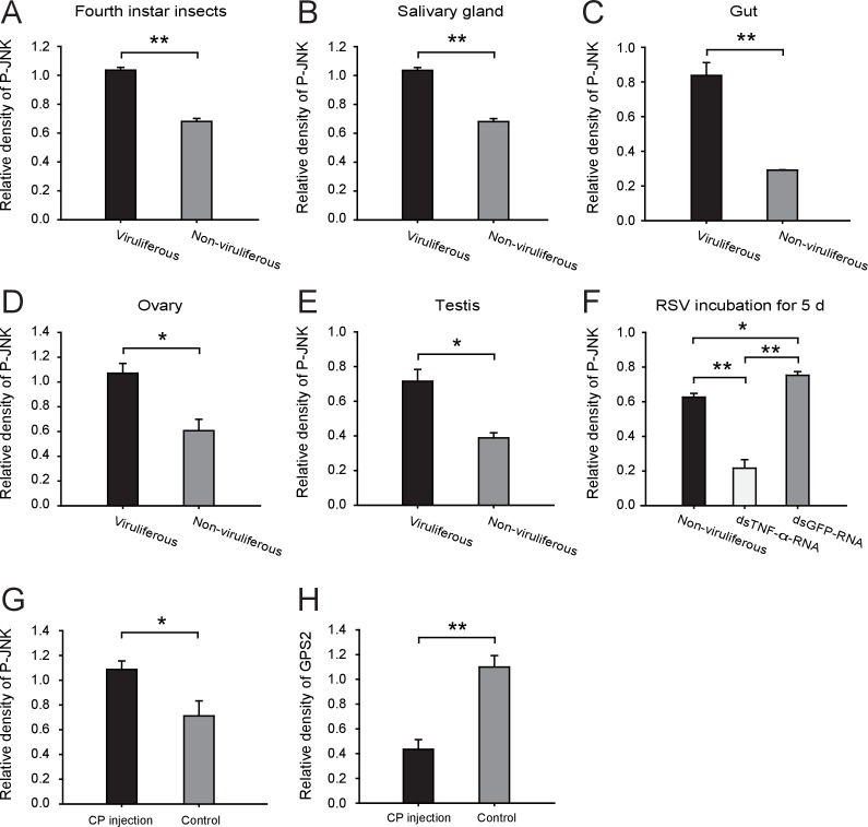 Figure 4—figure supplement 1.